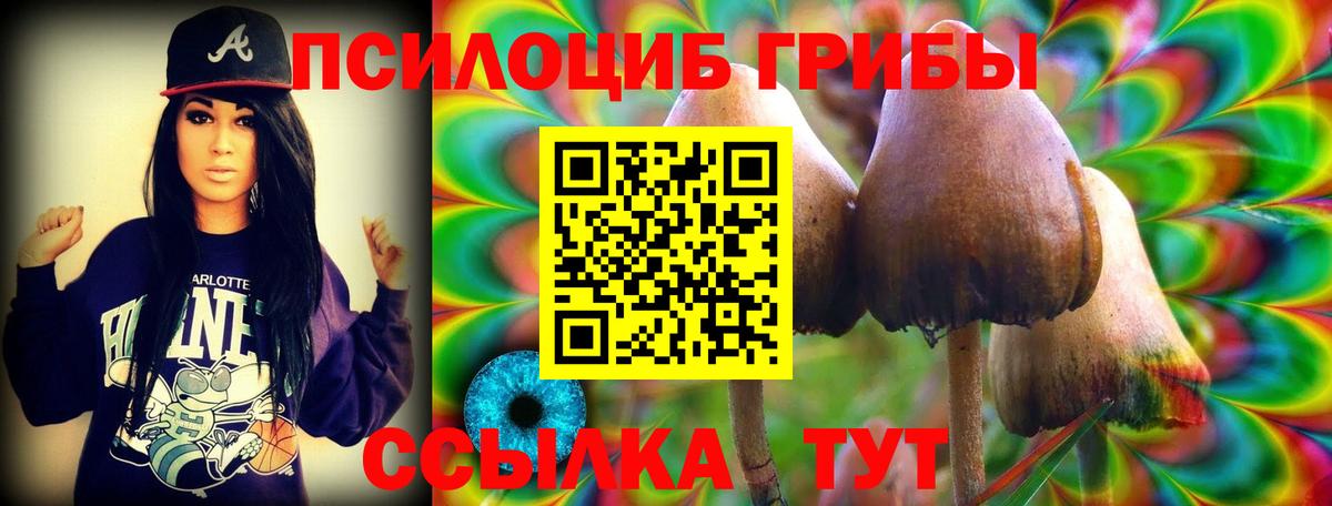 Псилоцибиновые грибы Cubensis  Псилоцибиновые грибы мицелий  Горно-Алтайск  Вход с VPN 