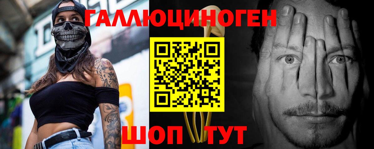 Галлюциногенные грибы прущие грибы Горно-Алтайск